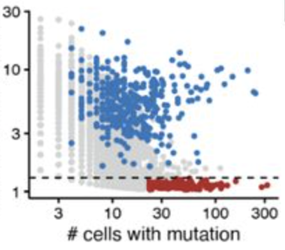 Artifacts in single-cell mitochondrial DNA mutation analyses misinform phylogenetic inference